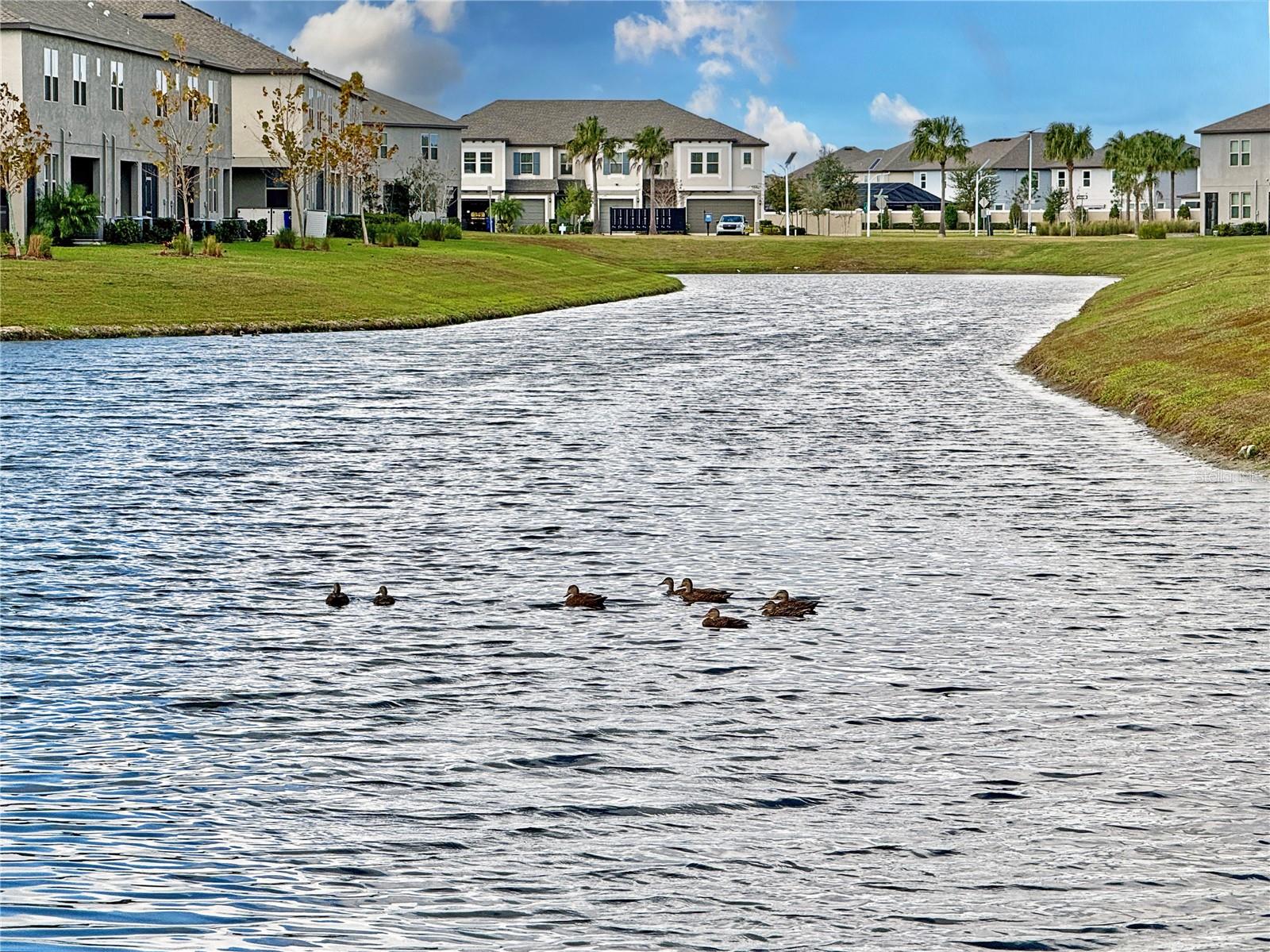 EPPERSON NORTH TWNHMS PH 4 - Residential