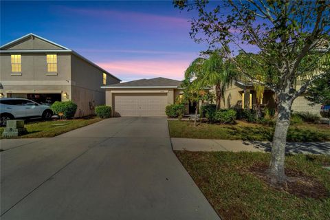 A home in WIMAUMA