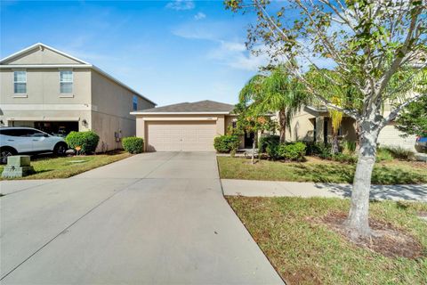 A home in WIMAUMA