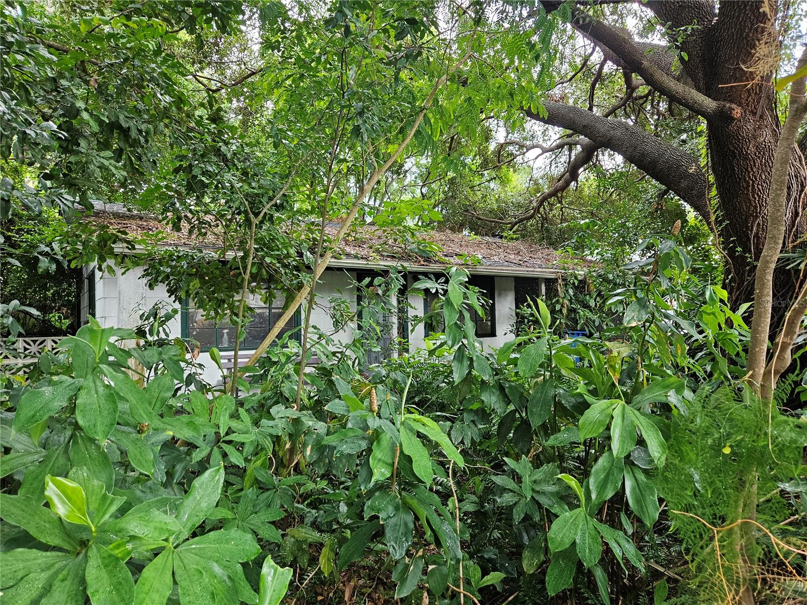 Don’t miss this rare opportunity to build your dream home in the highly sought-after Crescent Lake neighborhood!
This oversized lot backs directly onto beautiful Crescent Lake Park and qualifies for both a primary residence and an additional accessory dwelling unit (ADU), giving you flexibility for extended family, guests, or rental income. Located in Flood Zone X and a non-evacuation zone, this property offers peace of mind and long-term value.
Crescent Lake Park spans 56 acres and features a scenic 2-mile trail encircling the lake, a newly renovated playground, dog park, tennis and pickleball courts, plus the Huggins-Stengel Sports Complex and TASCO Center for Teen Technology.
Enjoy the convenience of walking or biking to the vibrant shops and restaurants along 4th Street and downtown St. Petersburg. This is truly an unbeatable location for living your best life.
Please note: The existing home is in disrepair and should not be entered.
Call today for more details or to schedule a site visit.