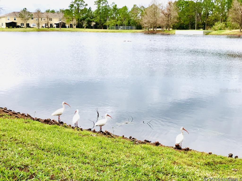 Landings At Sugar Mill - Residential