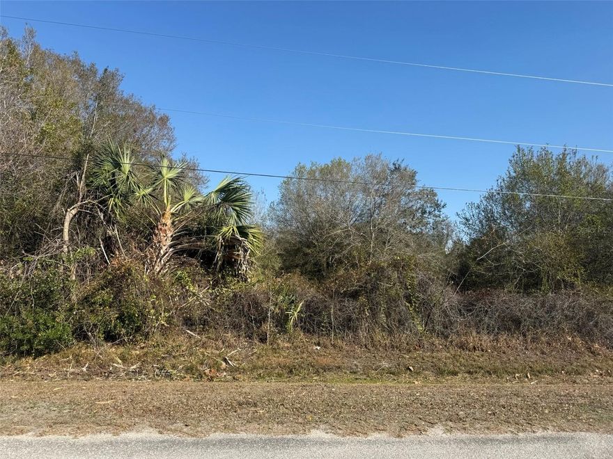 Rare opportunity to own a 0.68-acre vacant lot in Okeechobee little farms. This parcel offers plenty of space to build your custom home, enjoy outdoor living, or invest in Okeechobee real estate. The lot is easily accessible and conveniently close to local schools, shopping, and major roadways. No HOA, providing freedom and flexibility to design your property exactly how you want. Don't miss this chance to secure a prime piece of Okeechobee land.