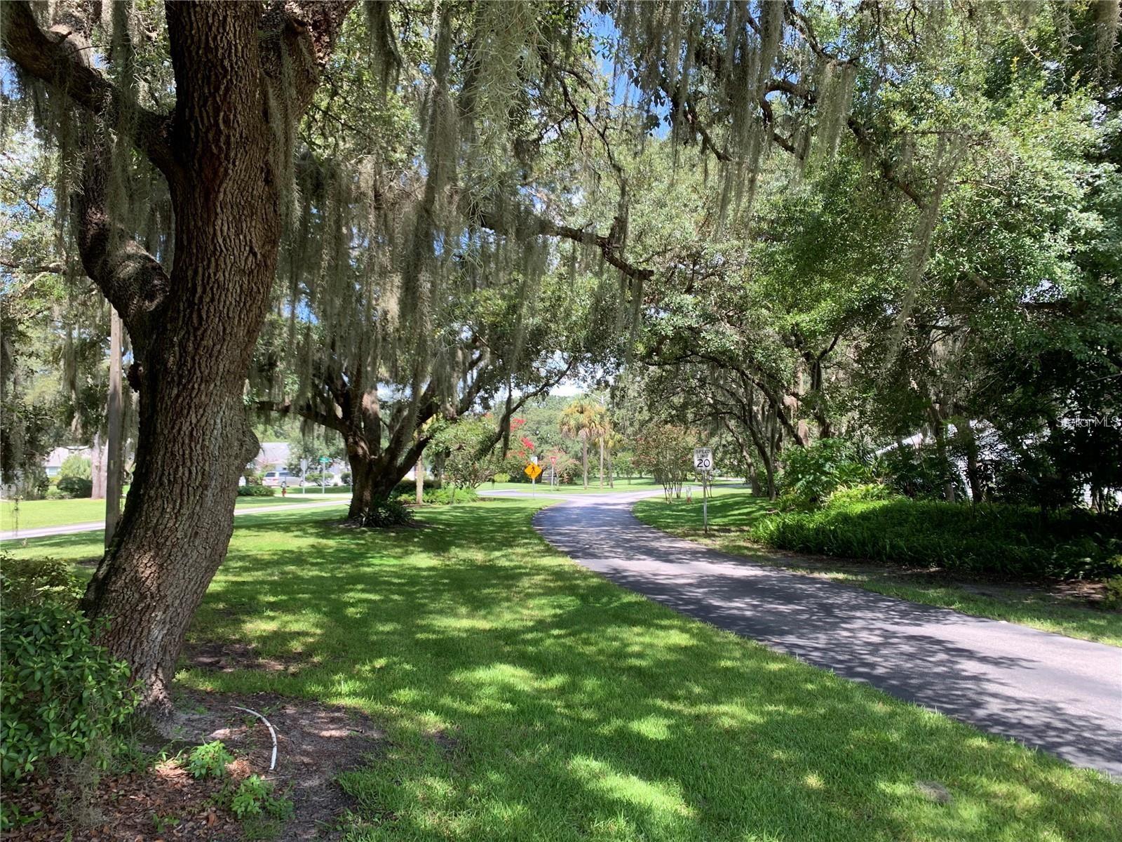 SCOTTISH HLNDS CONDO - Residential