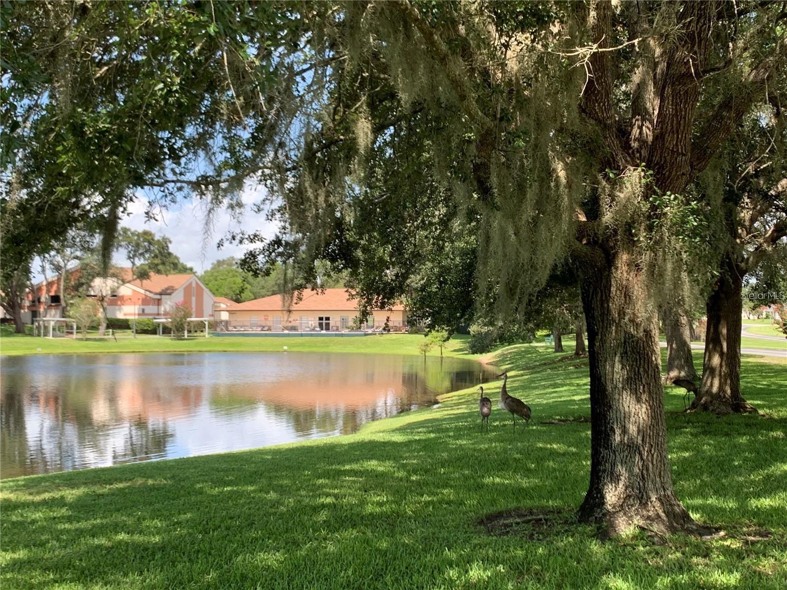 SCOTTISH HLNDS CONDO - Residential