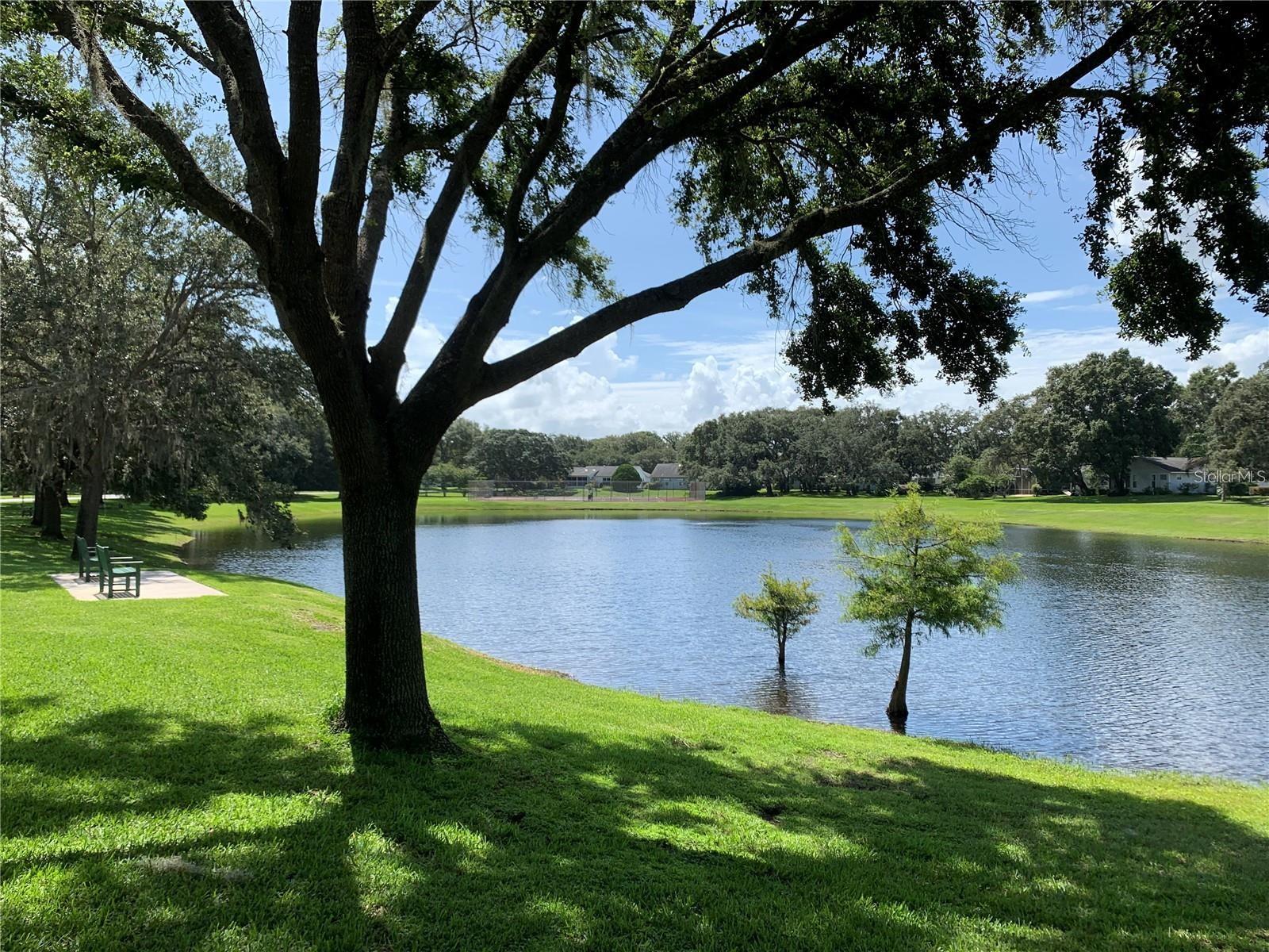 SCOTTISH HLNDS CONDO - Residential