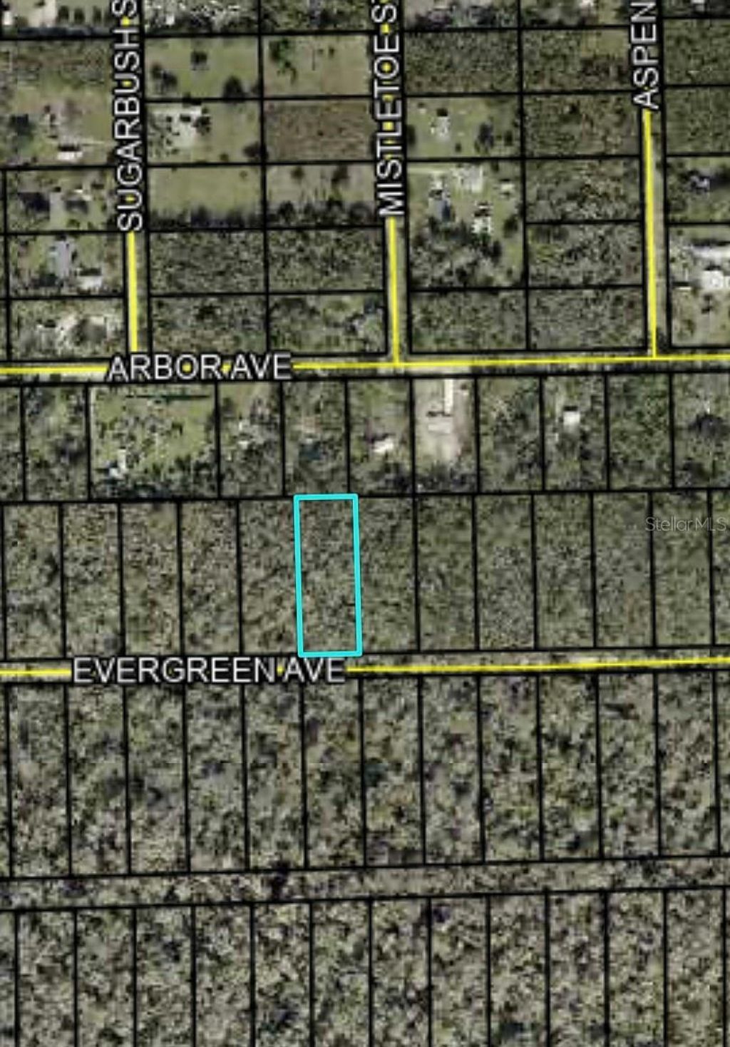 Photo of 3740 Evergreen Avenue, Bunnell, FL 32110 (MLS # FC318638)