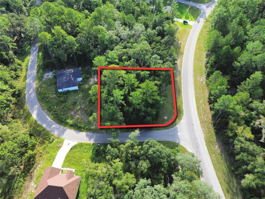 Photo of Tbd Fisher Road, Ocklawaha, FL 32179 (MLS # OM732918)