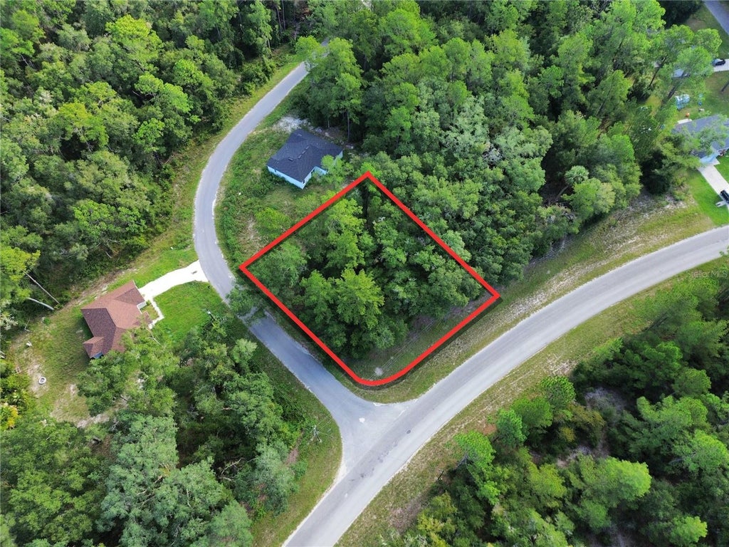 Photo of Tbd Fisher Road, Ocklawaha, FL 32179 (MLS # OM732918)