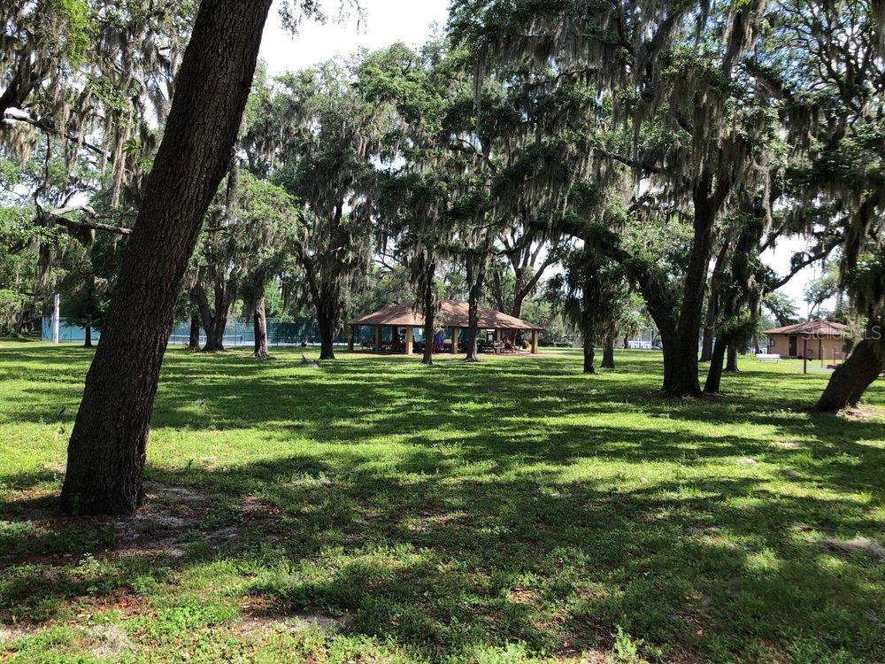 CRYSTAL LAKE PARK 1ST SEC - Residential