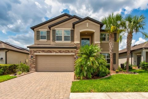 11035 SAGE CANYON DRIVE RIVERVIEW FL 33578