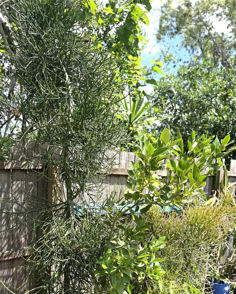 NORTH HILL SUB - Residential