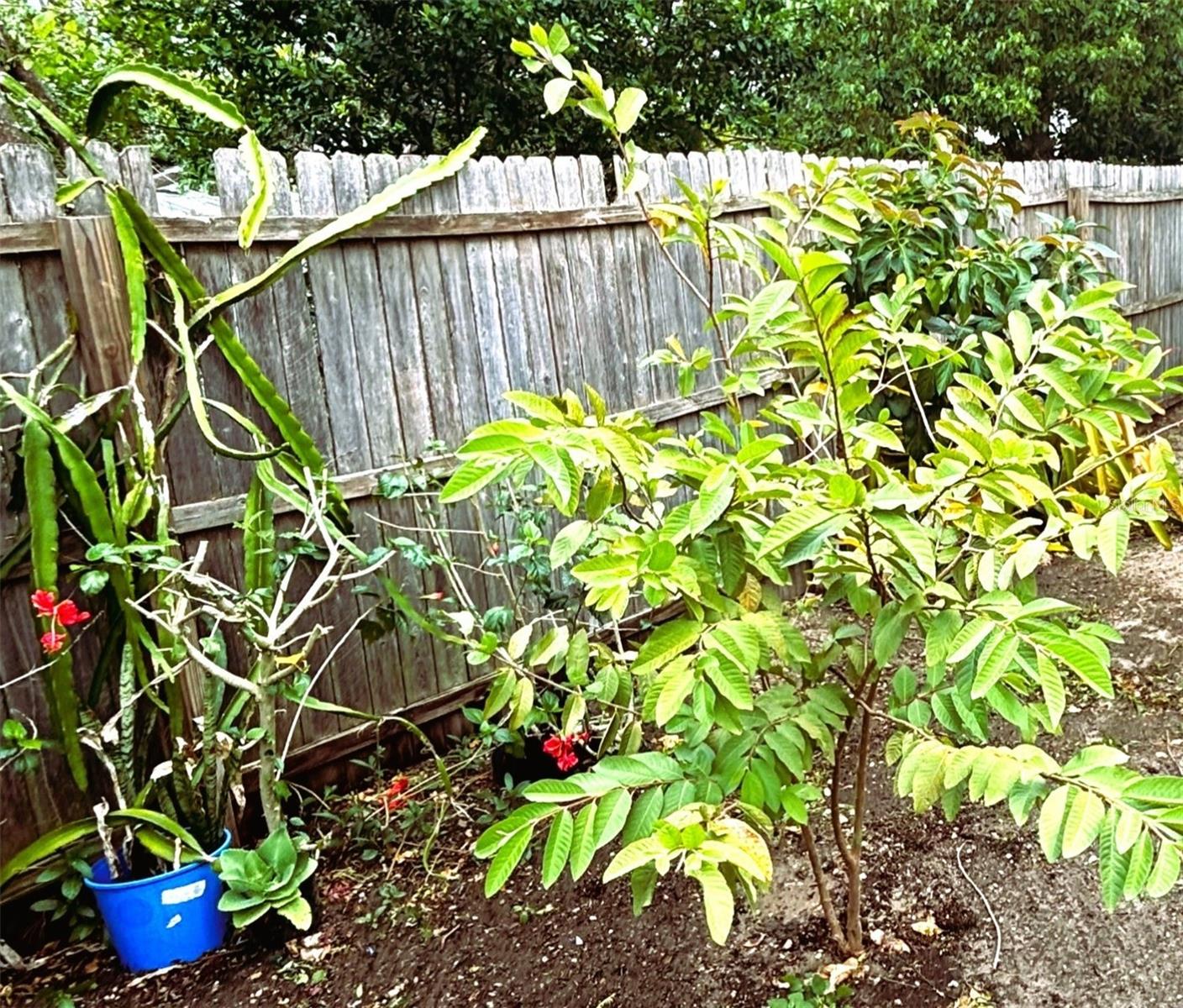 NORTH HILL SUB - Residential