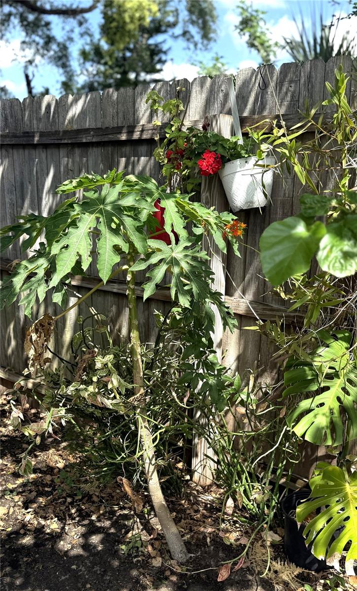 NORTH HILL SUB - Residential