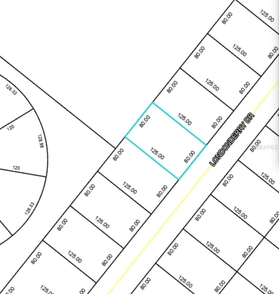 41 LONDONDERRY DRIVE