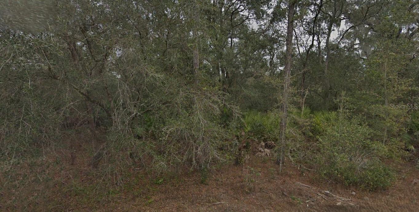 2 adjacent vacant lots. Price and dimensions are for both lots (each lot is 75 X 140). All information provided is deemed reliable but is not guaranteed and should be independently verified.