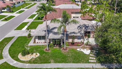 Photo of 6001 Lemon Tree Ct, Tampa, FL 33625 (MLS # TB8397586)