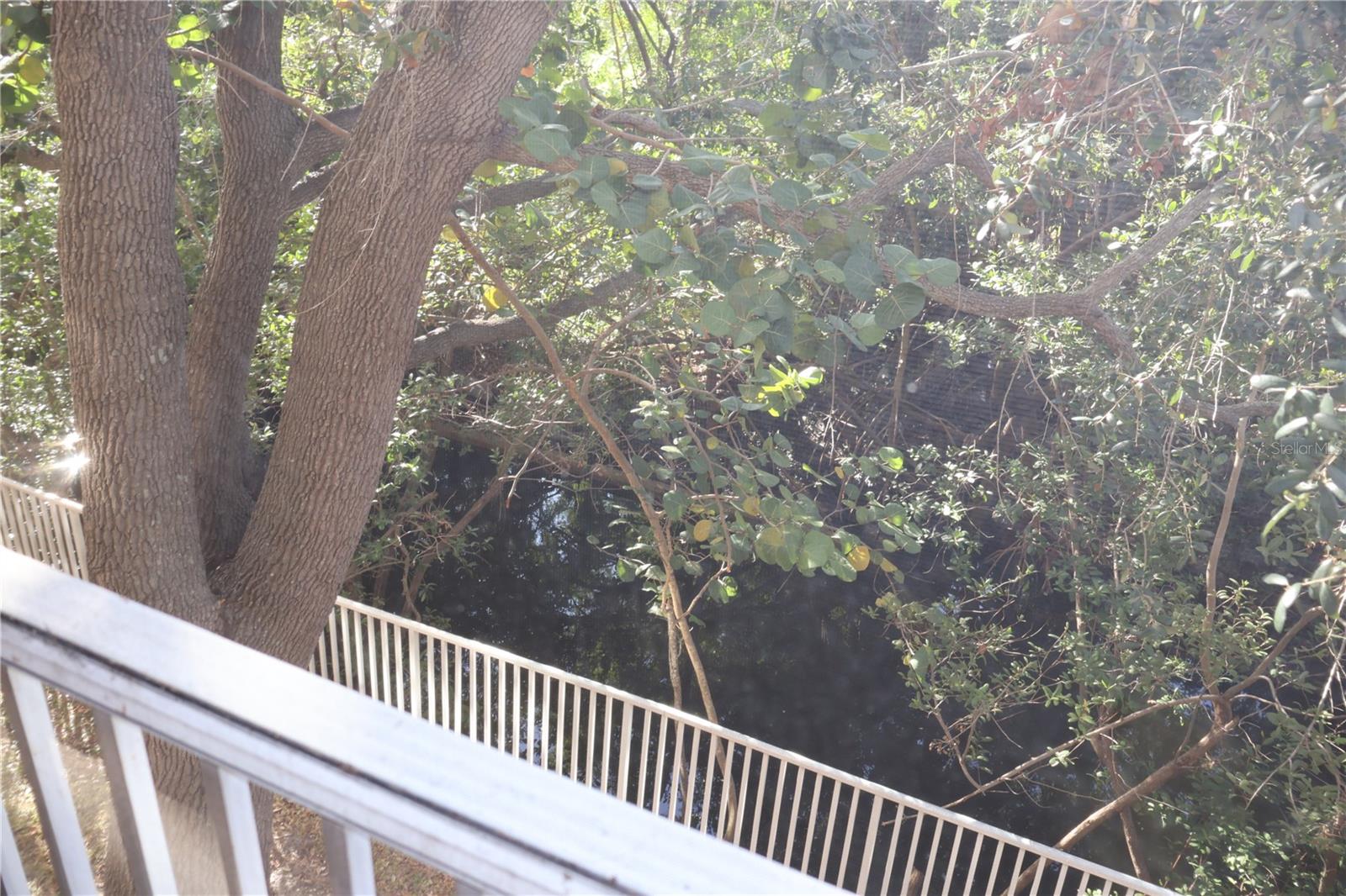 LUXURIOUS 2 BED 2 BATH FULLY FURNISHED GATED CONDO LOCATED IN SOUTH TAMPA! Modern living with a screened in porch overlooking the canal with a community pool and water views. Granite countertops in the kitchen along with IN UNIT Washer and Dryer. Keyless entry for convenience and security. Fully furnished with the Master Bedroom furniture update coming soon. Both bedrooms include spacious WALK IN closets. Walking distance from vibrant and new Westshore Marina District, where you can walk to brand new shops and restaurants! Extravagant amenities include Gated and secured complex, Community Clubhouse, Community grills for BBQs and entertaining, scenic walking paths/sidewalks, fully - equipped gym, kayak and Paddle-board launch, DOCK ACCESS, plenty of parking for guests and multiple options for COVERED PARKING, and convenient on-site car wash station. CALL TODAY to schedule a showing!