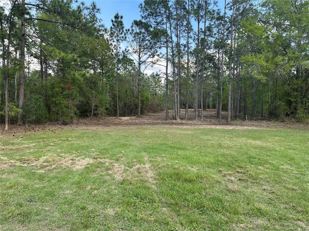 Photo of Commonwealth Avenue N, Polk City, FL 33868 (MLS # B4902226)