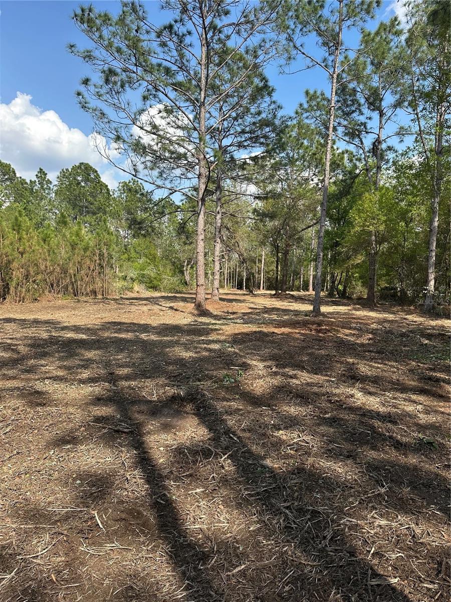 COMMONWEALTH AVENUE N