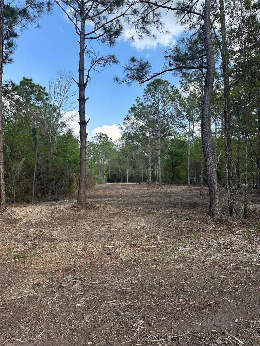 Photo of Commonwealth Avenue N, Polk City, FL 33868 (MLS # B4902226)