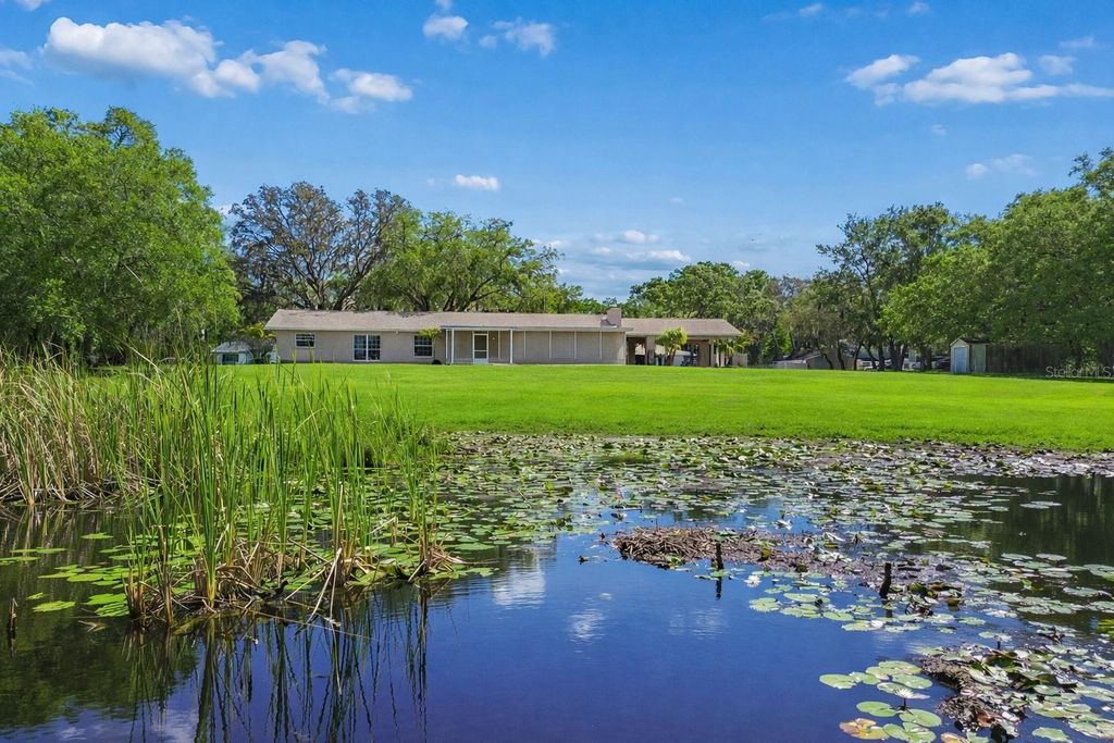 Photo of 9035 Sharon Drive, New Port Richey, FL 34654 (MLS # W7884482)