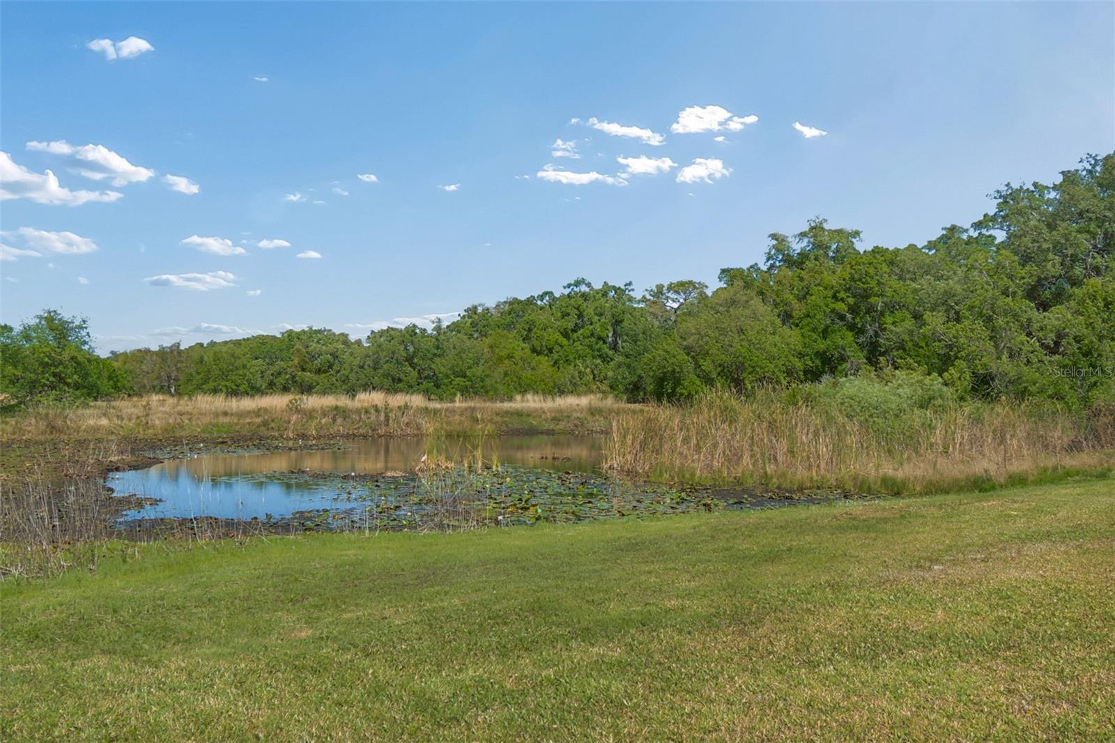 GOLDEN ACRES - Residential