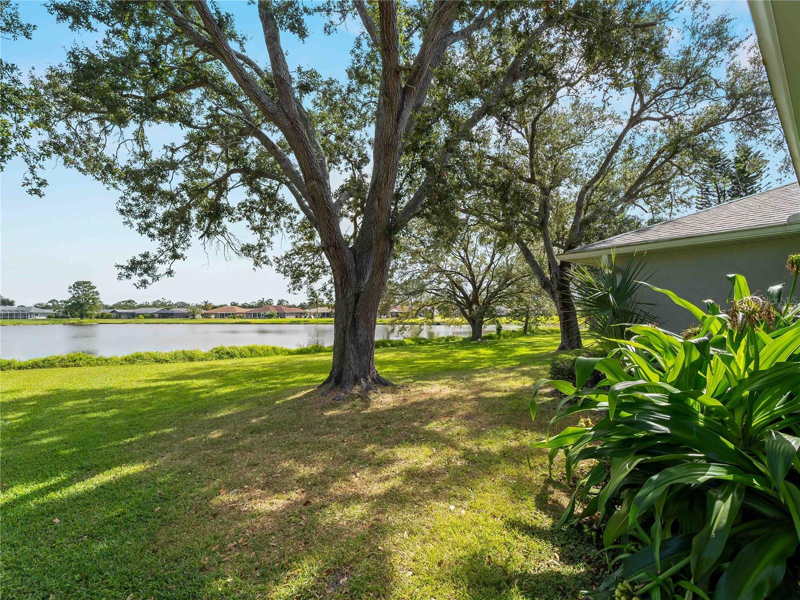 MEADOW RUN AT JACARANDA - Residential