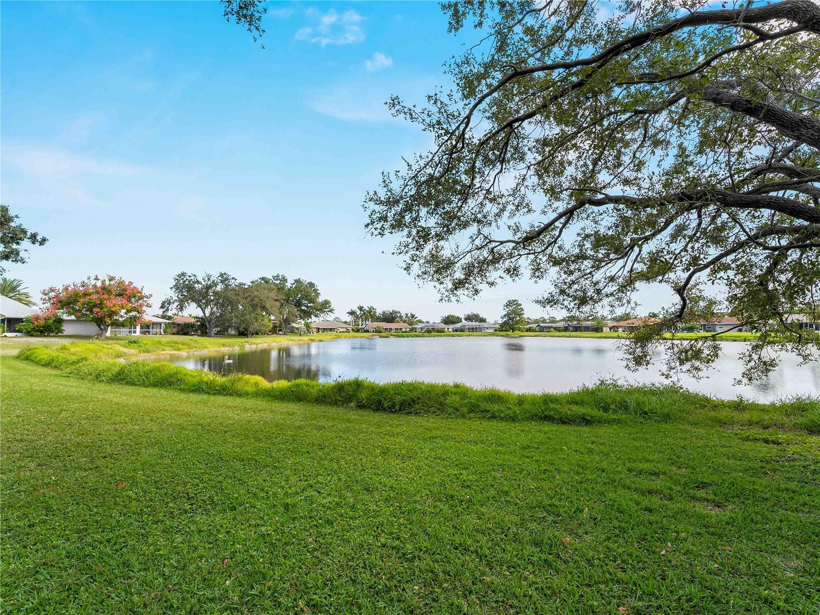 MEADOW RUN AT JACARANDA - Residential