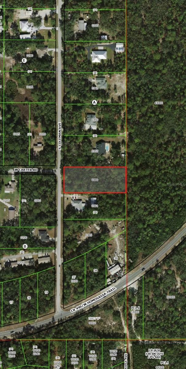 Photo of 2823 S Coleman Avenue, Homosassa, FL 34448 (MLS # OM733713)