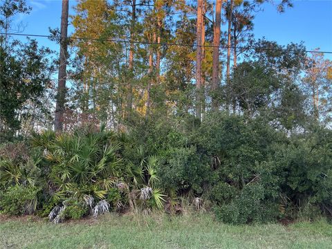 171 RYBERRY DRIVE PALM COAST FL 32164