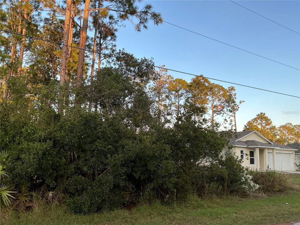 Photo of 171 Ryberry Drive, Palm Coast, FL 32164 (MLS # OM715341)
