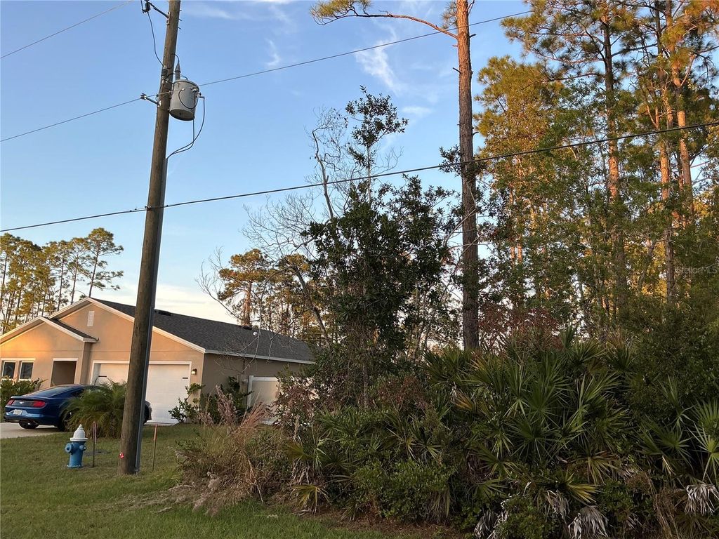 Photo of 171 Ryberry Drive, Palm Coast, FL 32164 (MLS # OM715341)