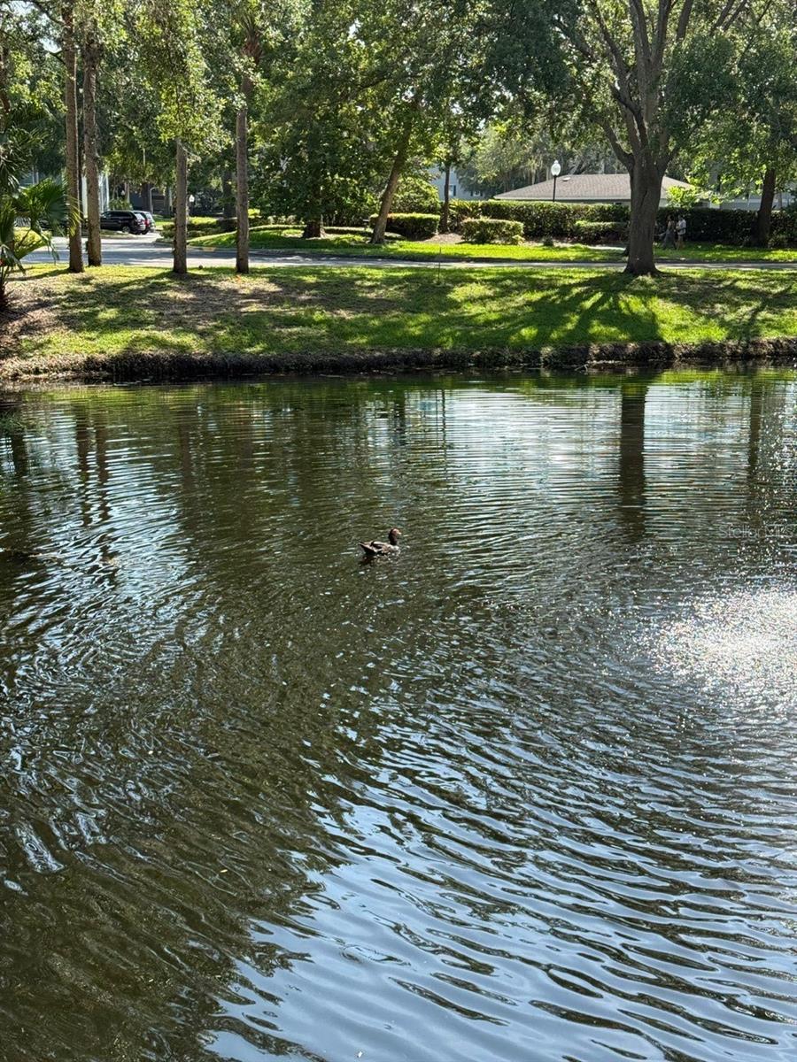 WINDSOR AT SABAL WALK A CONDO - Residential Lease