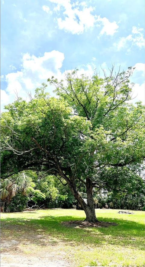 W VINING STREET WINTER GARDEN FL 34787