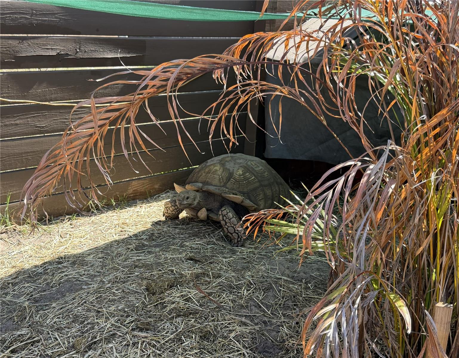 CAMELOT UNIT 2 - Residential