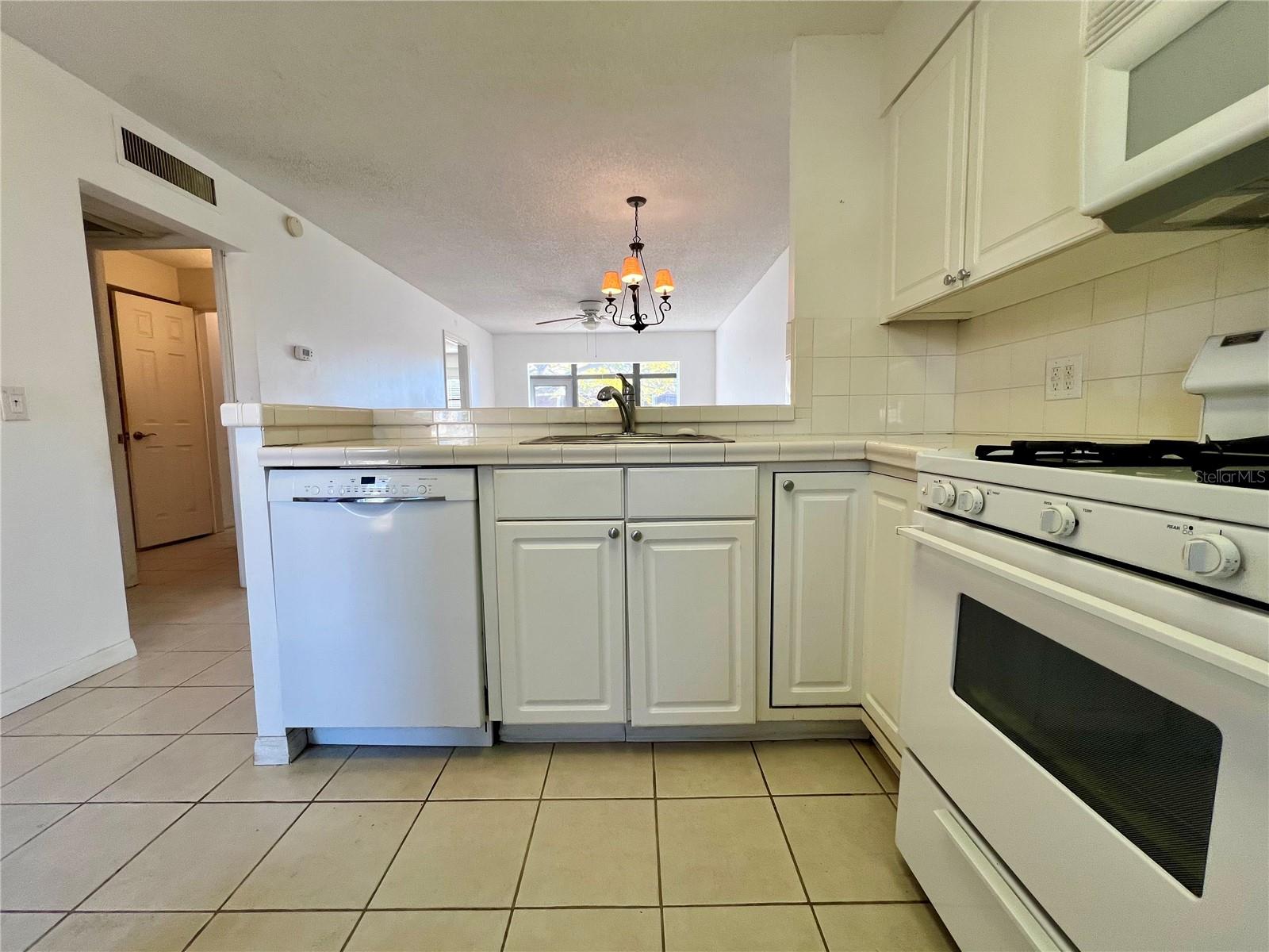 2991 FLINT DRIVE S 77-D