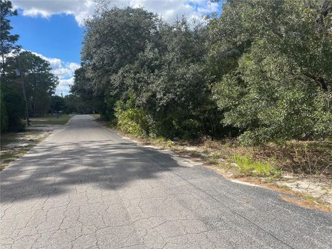 Tiny photo for 5611 W Rochelle Street, Homosassa, FL 34448 (MLS # OM711580)