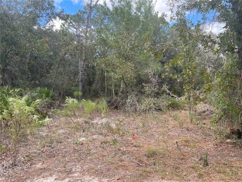Tiny photo for 5611 W Rochelle Street, Homosassa, FL 34448 (MLS # OM711580)