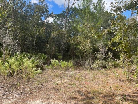Tiny photo for 5611 W Rochelle Street, Homosassa, FL 34448 (MLS # OM711580)