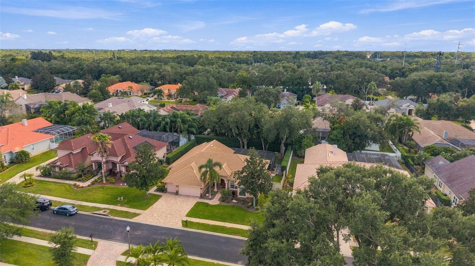 1663 CANOPY OAKS BOULEVARD