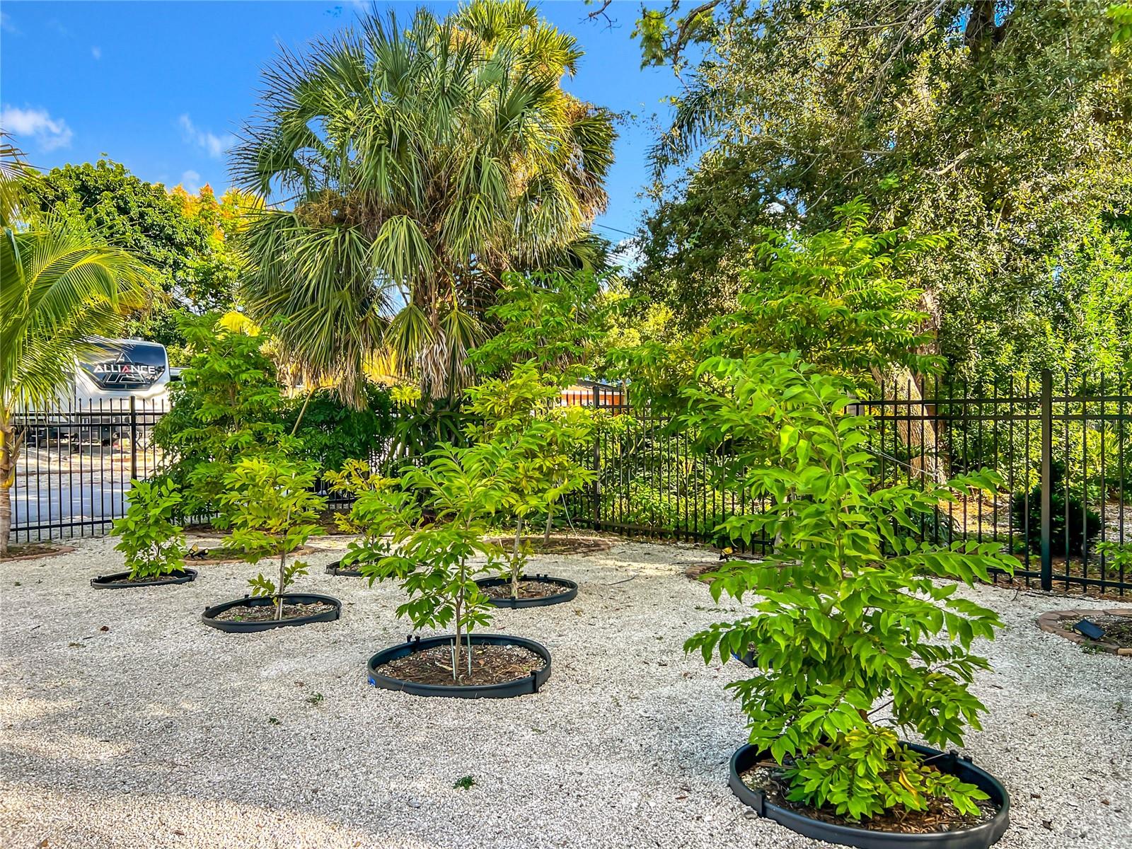 WESLO WILLOWS - Residential