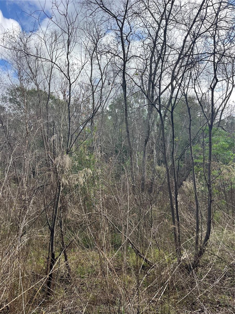 SUNSET ACRES UNREC SUB - Land