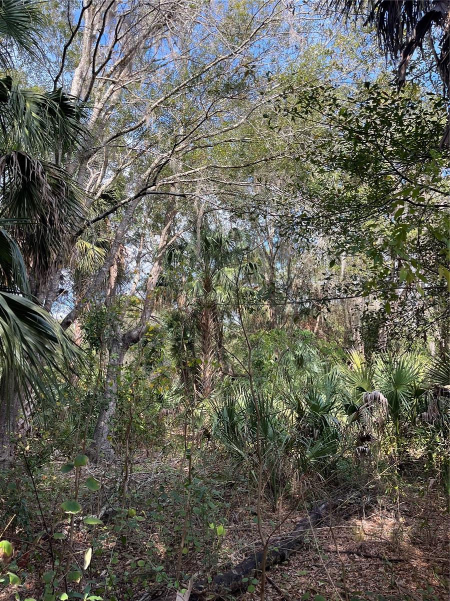 SUNSET ACRES UNREC SUB - Land