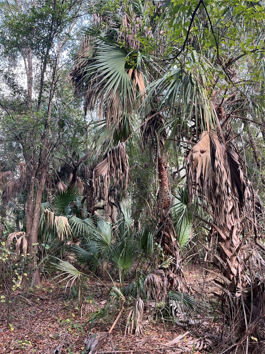 SUNSET ACRES UNREC SUB - Land