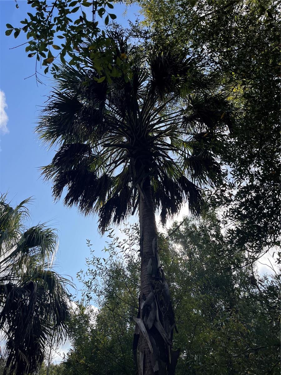 SUNSET ACRES UNREC SUB - Land