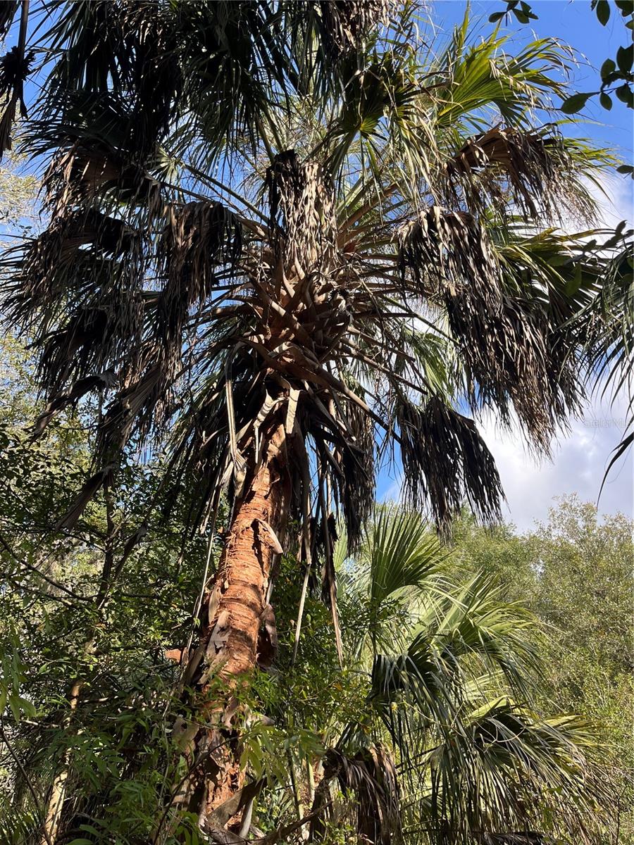 SUNSET ACRES UNREC SUB - Land