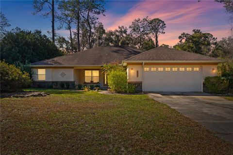 Photo of 800 Virginis Dr, Citrus Springs, FL 34434 (MLS # TB8377368)