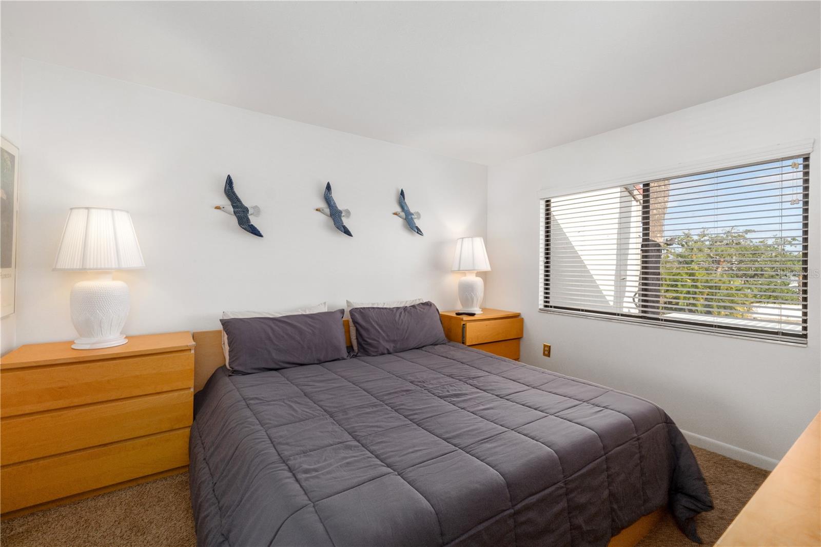 SIESTA DUNES BEACH - Residential