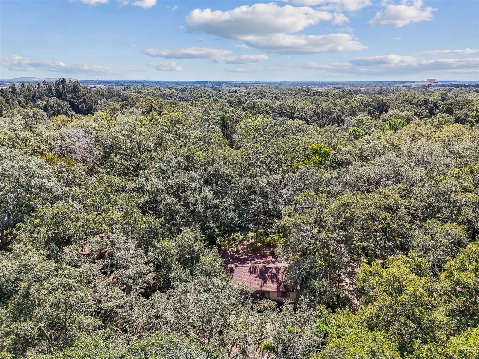 UNPLATTED - Residential