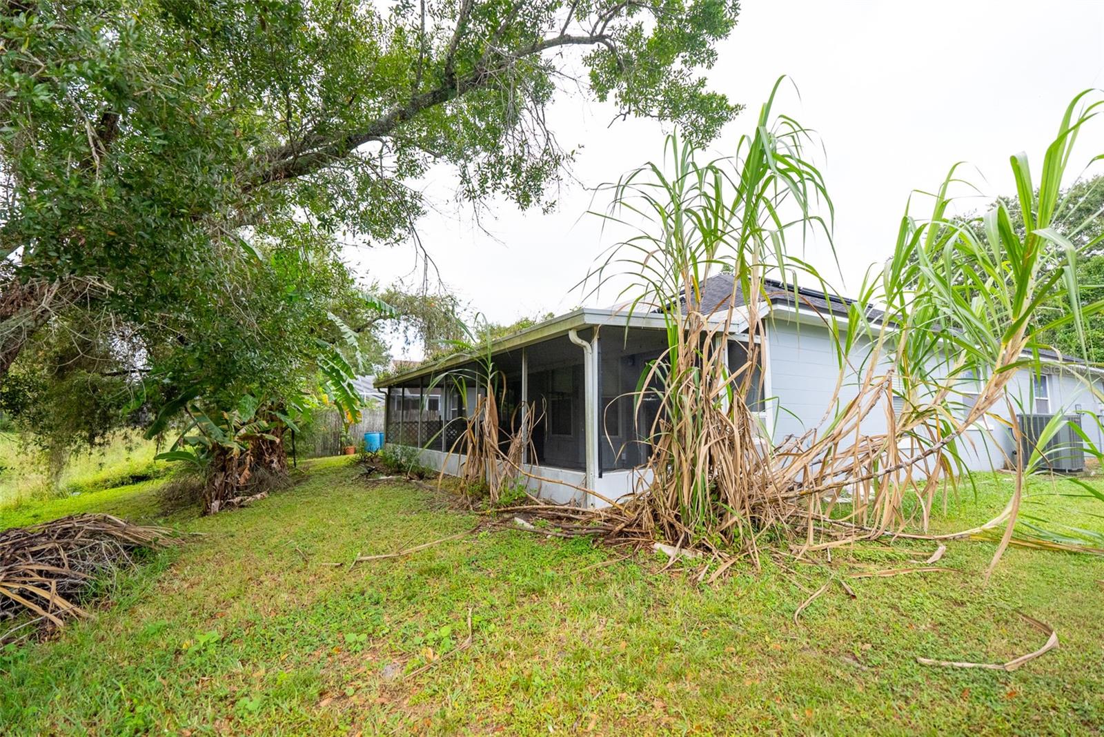 PLANTERS WALK - Residential